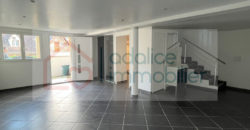Maison Triel Sur Seine 5 pièce(s) 117 m2